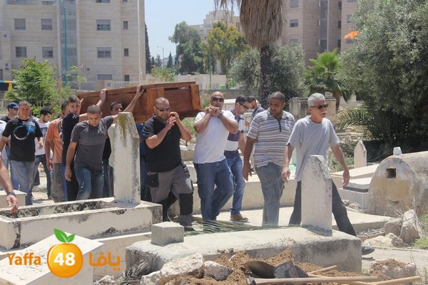 jaanzaa 0501 (11).JPG